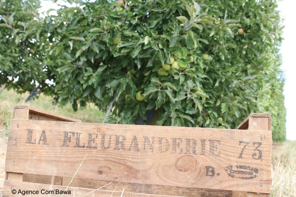 26-DOSSIER-CIRCUIT-COURT