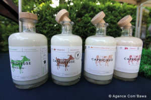 36-TALENTS-DICI-Capricieuse-Fond